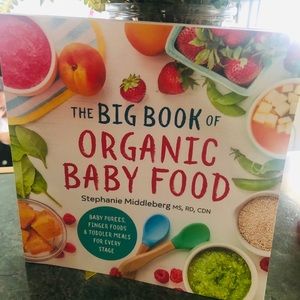 The Big Book of Organic Baby Food